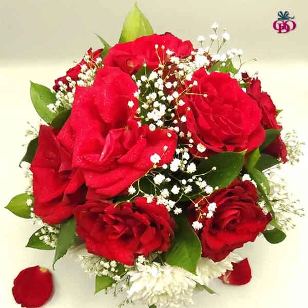  9 Red roses, 9 chrysanthemums with gypsum flower vase