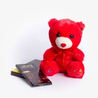 Red Teddy and Lindt