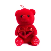 Small Red Teddy Bear Soft Toy(30cm)