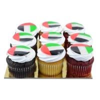 National Day Mixed Cupcakes