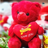 Teddy Bear Soft Toy(30cm)