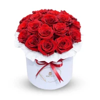 Premium 20 Roses Box