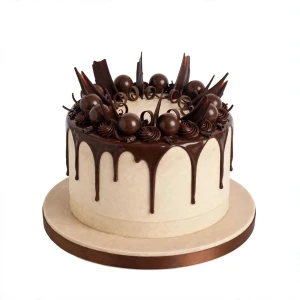 Vanilla and Chocolate Mix Sponge Cake with Chocolate flavour and Chocolate arranged on top